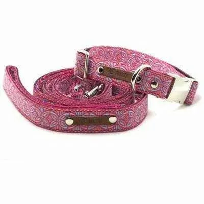 Chic Collar for Stylish Pooches