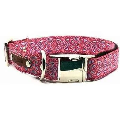 Chic Collar for Stylish Pooches