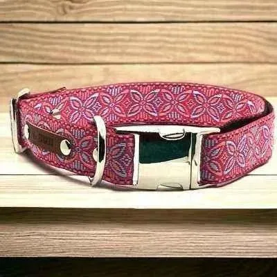 Chic Collar for Stylish Pooches